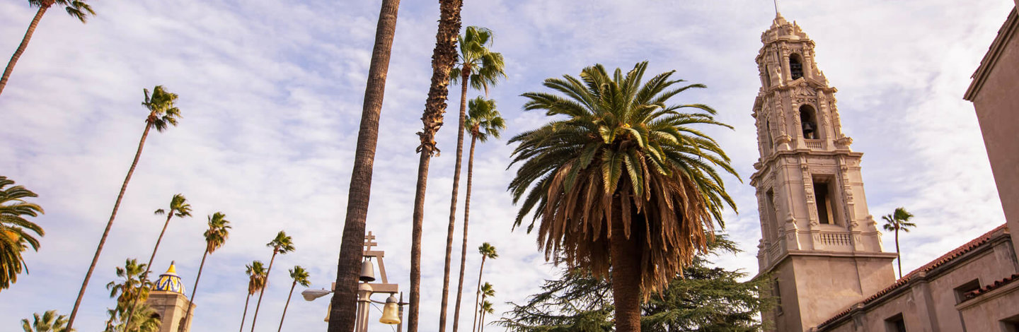 palm trees and a building with a bell tower