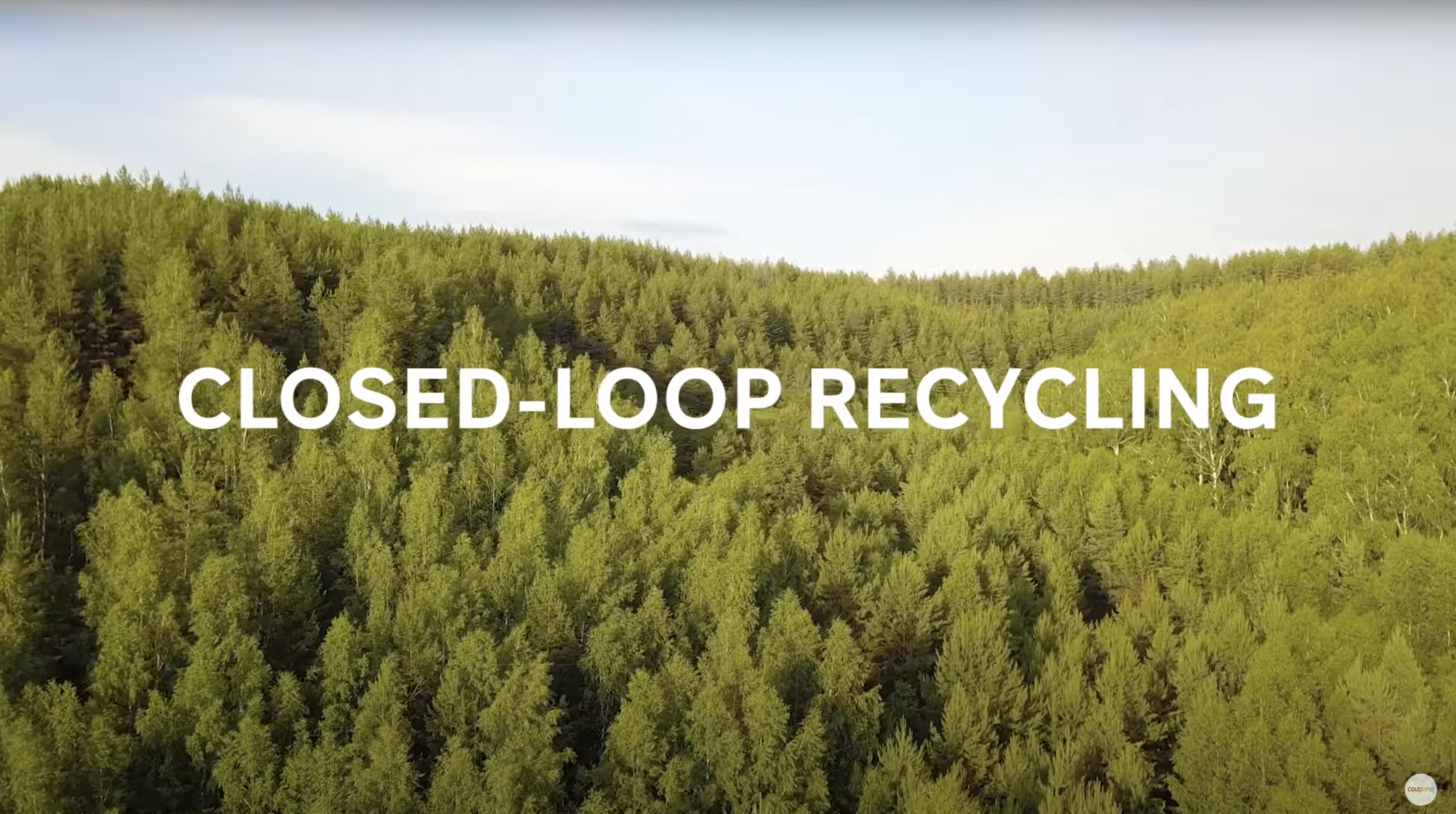 a forest of trees with text overlay