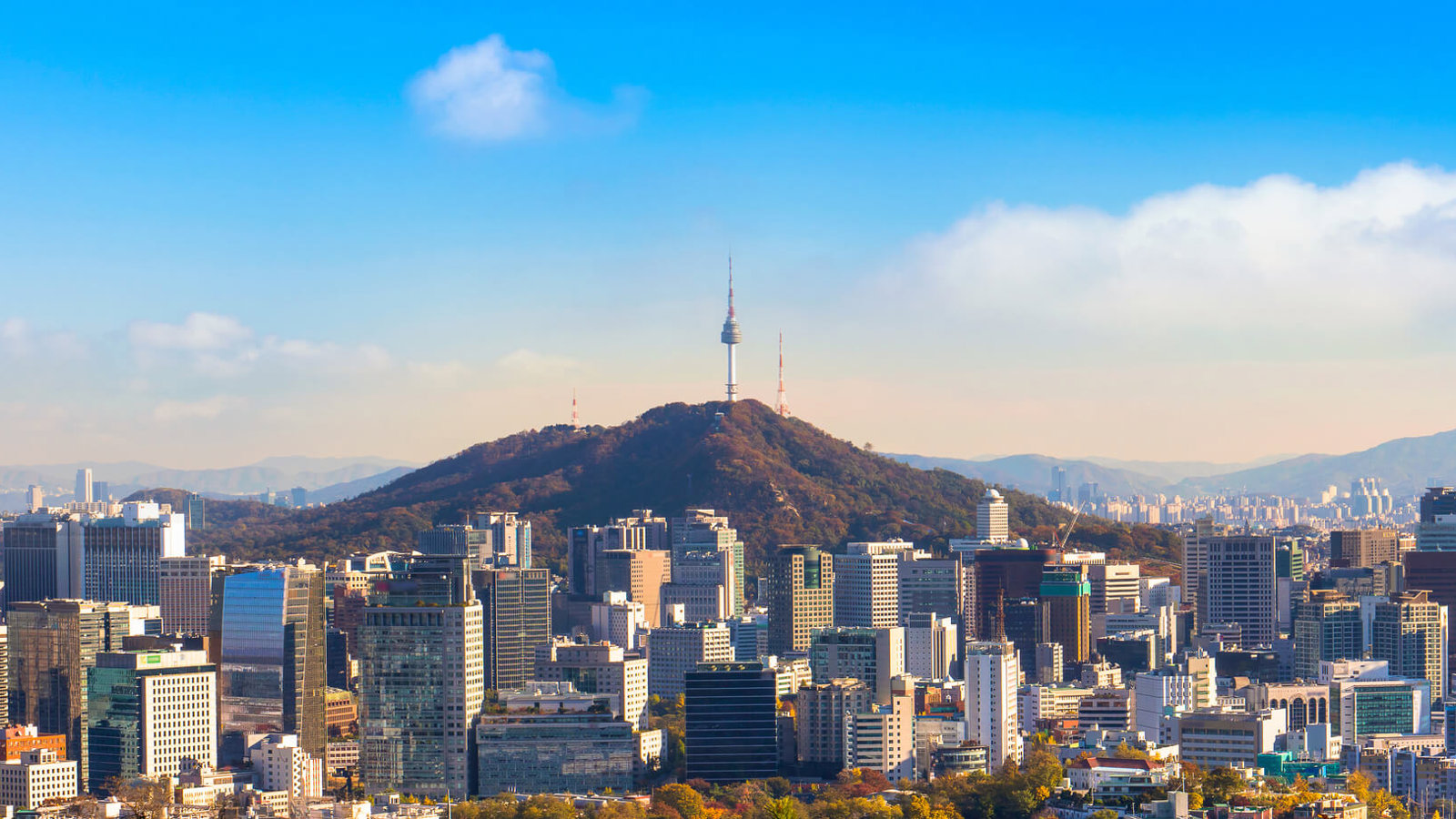쿠팡 서울 오피스 관련 이미지