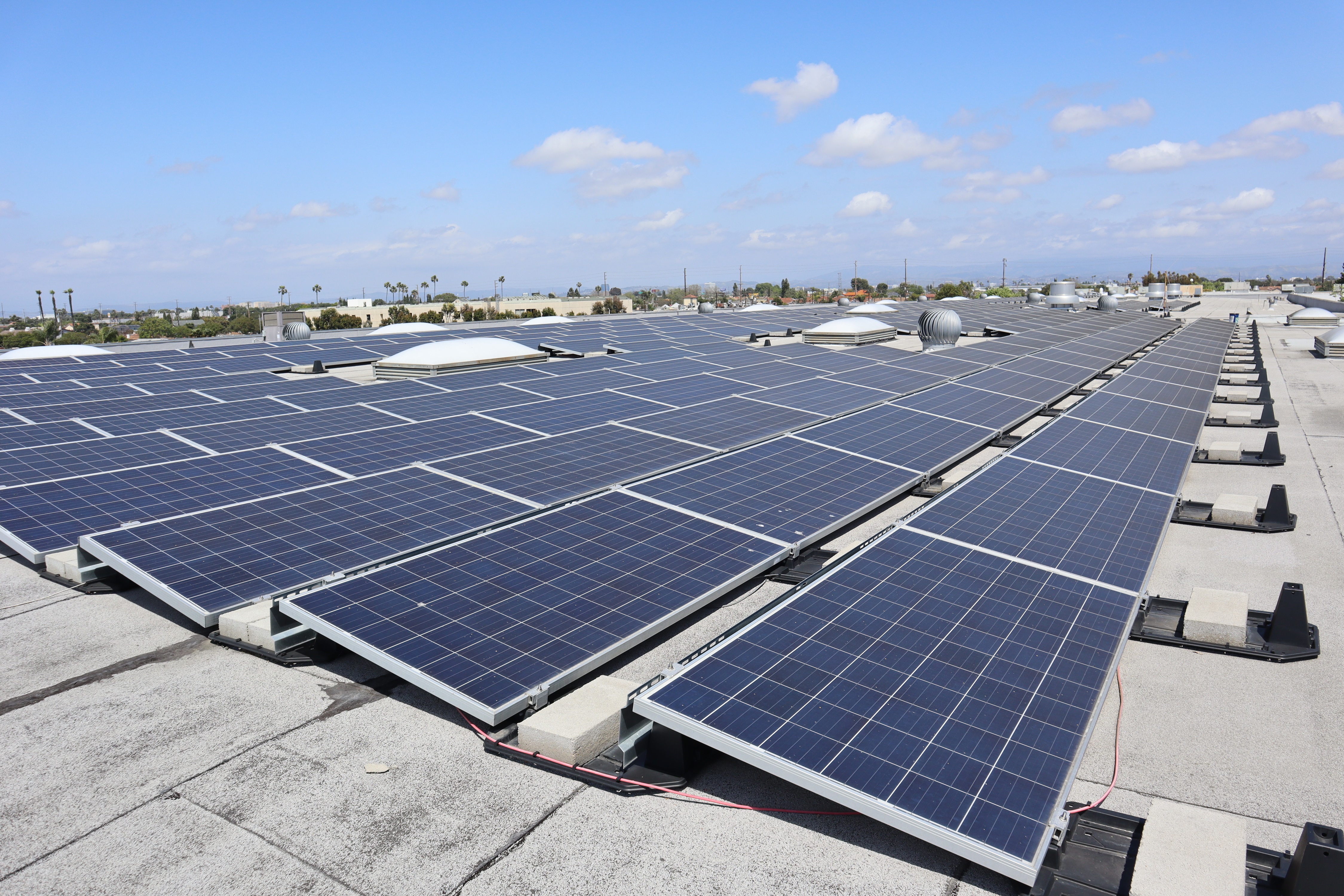 Growing In The Golden State And Beyond