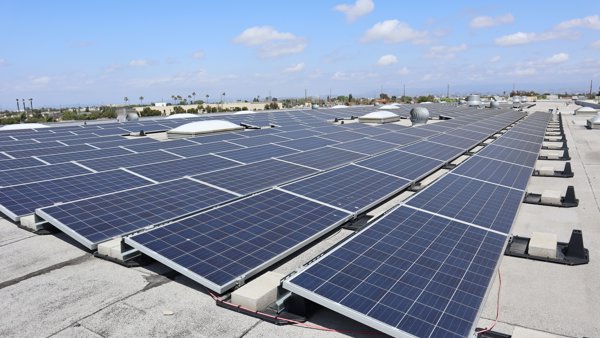 Growing In The Golden State And Beyond