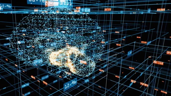 a digital image of a brain