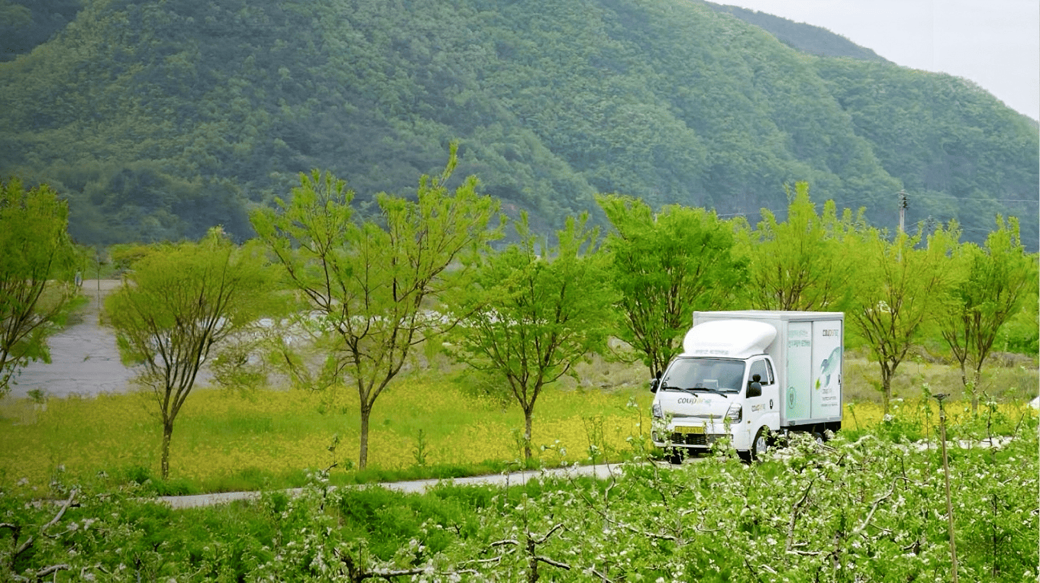 나무와 산을 배경으로 한 도로에 있는 흰색 트럭
