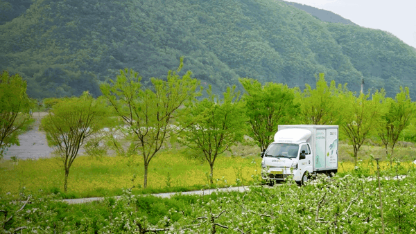 나무와 산을 배경으로 한 도로에 있는 흰색 트럭